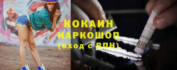 бошки Алексин