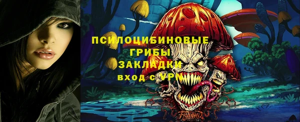 бошки Алексин