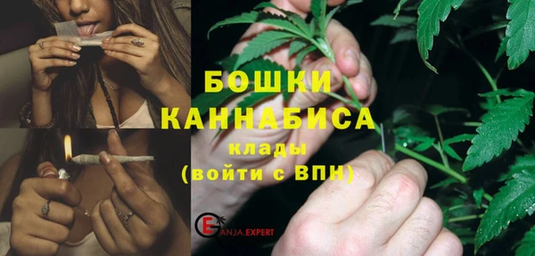 бошки Алексин